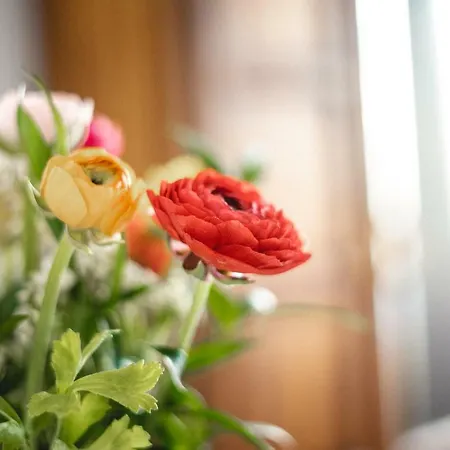 Braide Ospitalita Rurale Κατάλυμα σε φάρμα *